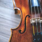 violin and viola lessons
