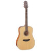 Takamine GD20 Acoustic Guitar - Natural Satin