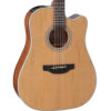 Takamine GD20CE-NS Acoustic-Electric Guitar - Natural Satin