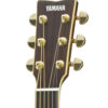 Yamaha LL6 headstock